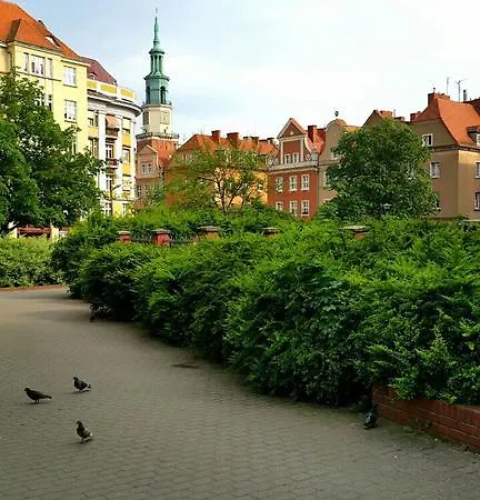 Bluegrayorange פוזנן