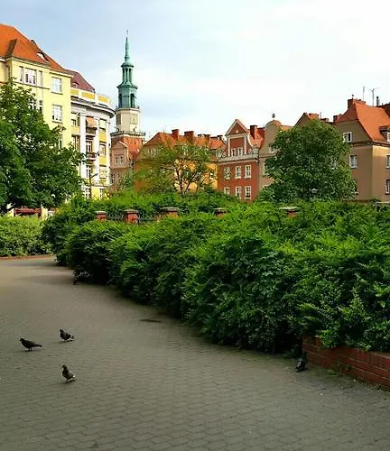 Bluegrayorange 波兹南